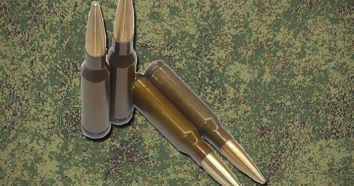 „Kalašnikov“ sukūrė specialius šovinius