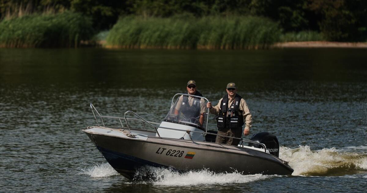 Ragina saugoti ungurius: gaudys ne tik brakonierius, bet ir nesąžiningus prekybininkus