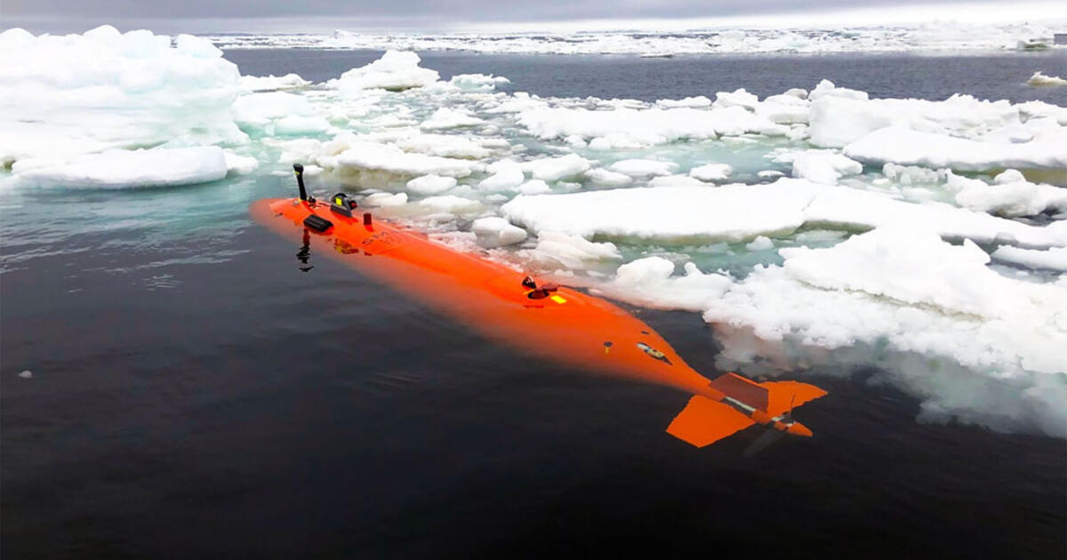 Prie Antarktidos povandeninis aparatas aptiko nežinomus objektus, tačiau prarado ryšį ir dingo