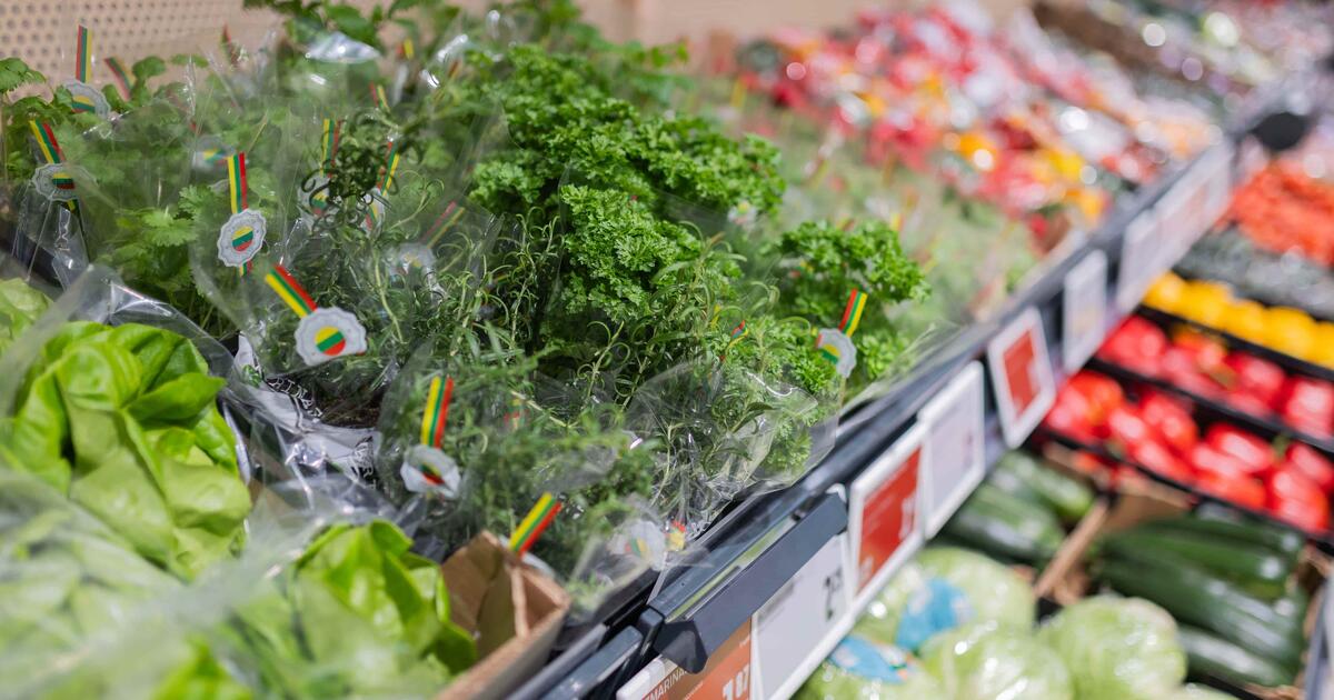 Ką valgyti balandį: 5 naujos ir pigios idėjos tiems, kurie nori daugiau šviežumo kasdien