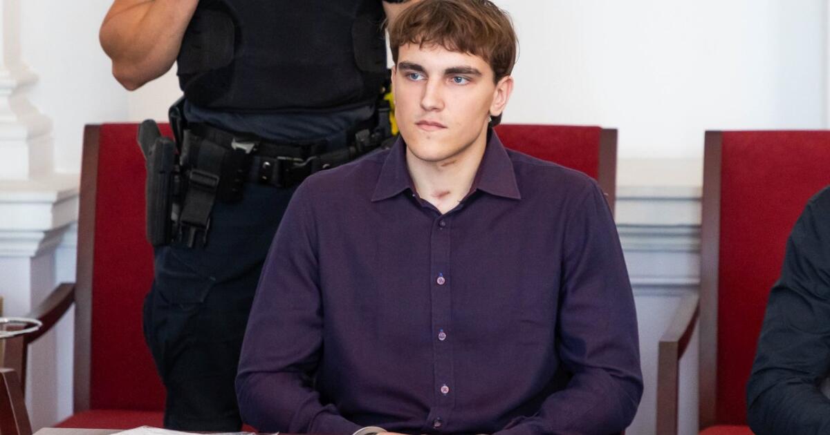 Ekspertas: už tėvo nužudymą nuteisto jaunuolio branda nesiekė suaugusiojo lygmens