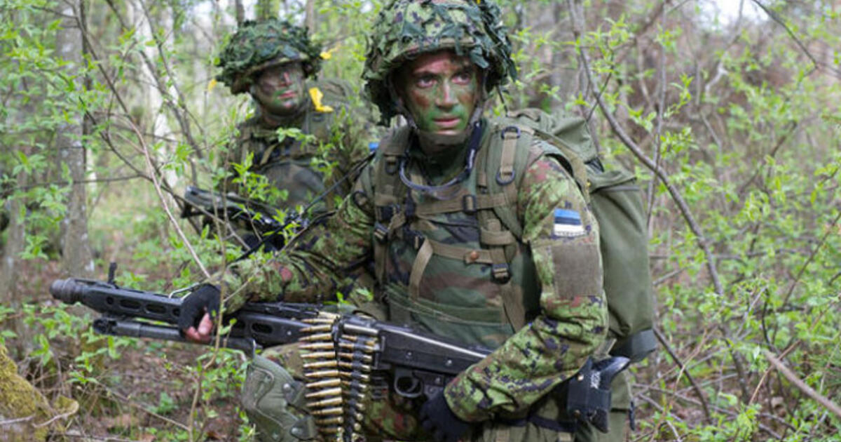 Kaip Estija išgyvens blokadą ir ginsis nuo Rusijos: priėmė drąsią strategiją