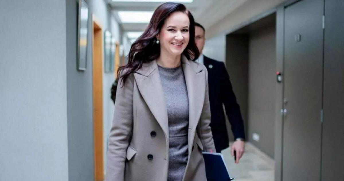 Inga Ruginienė: konservatoriai kopijuoja mūsų gynybos prioritetus ir pateikia juos kaip savo