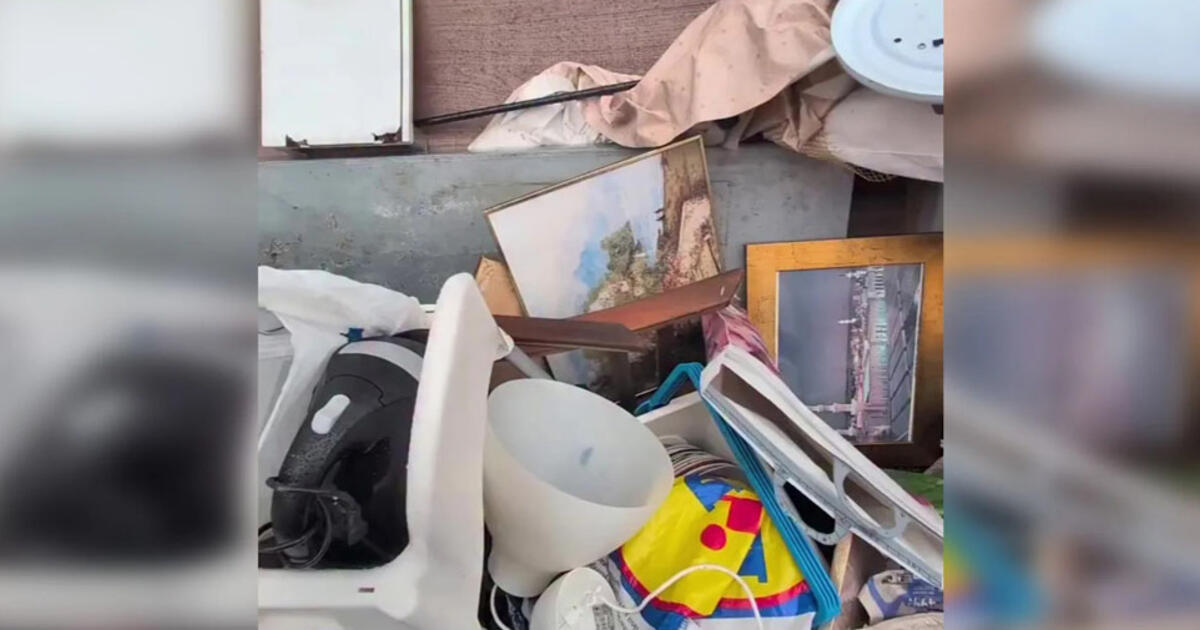 Vokietijos šiukšlynuose – lobiai: ukrainietė parodė, kaip nemokamai apstatyti namus