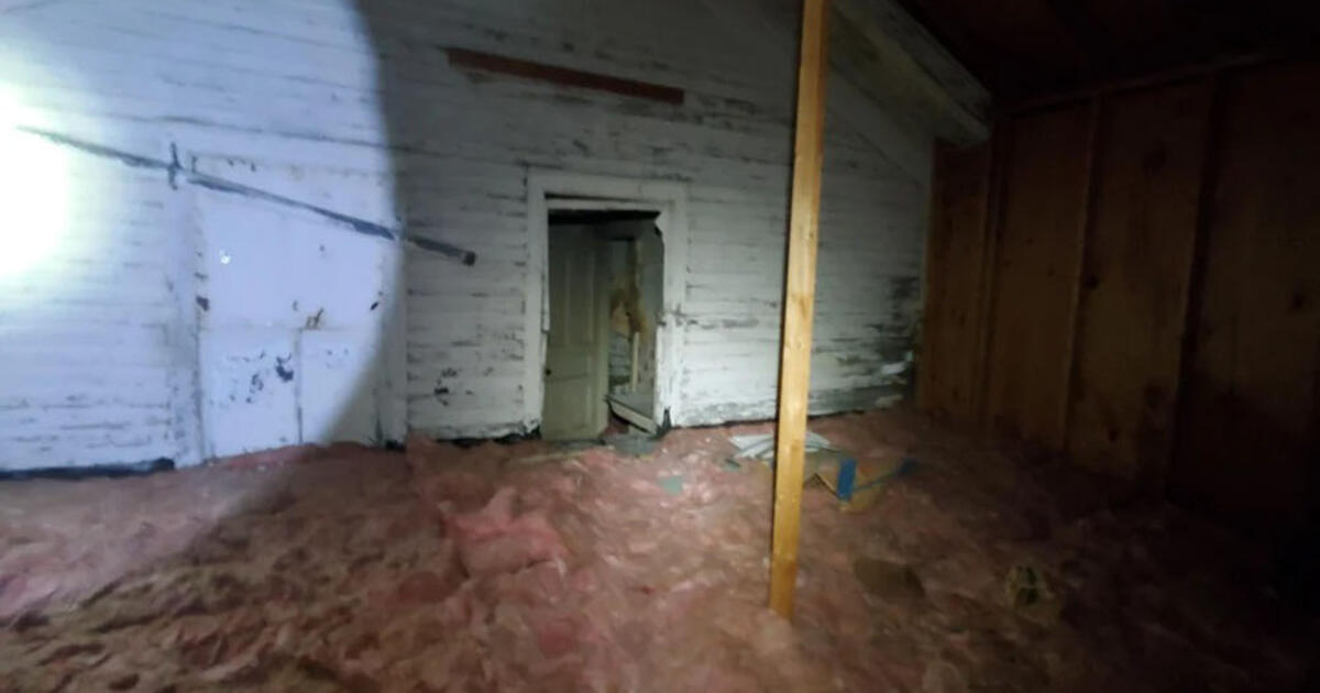 Vyro gyvenimas virsta „siaubo filmu“, kai jis pažvelgia už netikros sienos palėpėje