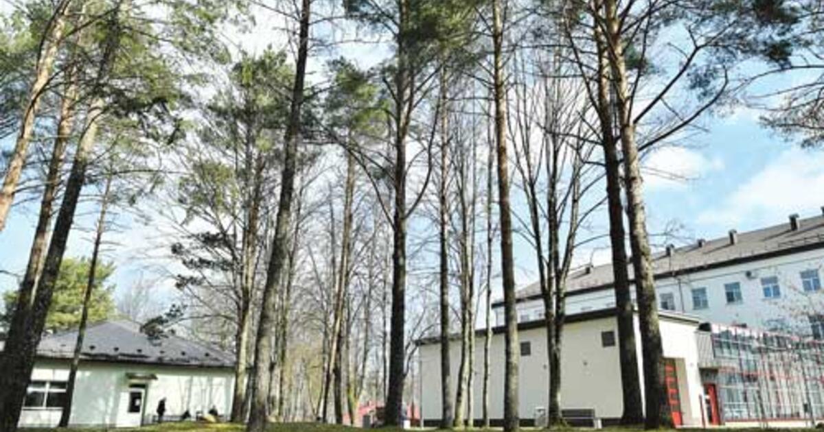 Prie Nakvynės namų planuoja namelį girtuokliams