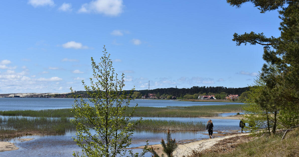 Švaros mėnuo Neringoje: kaip tinkamai tvarkyti atliekas