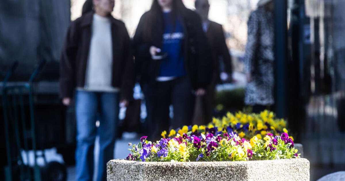 Sinoptikai įspėja apie artėjančias šalnas ir vėją: penktadienį ir savaitgalį prireiks skėčių
