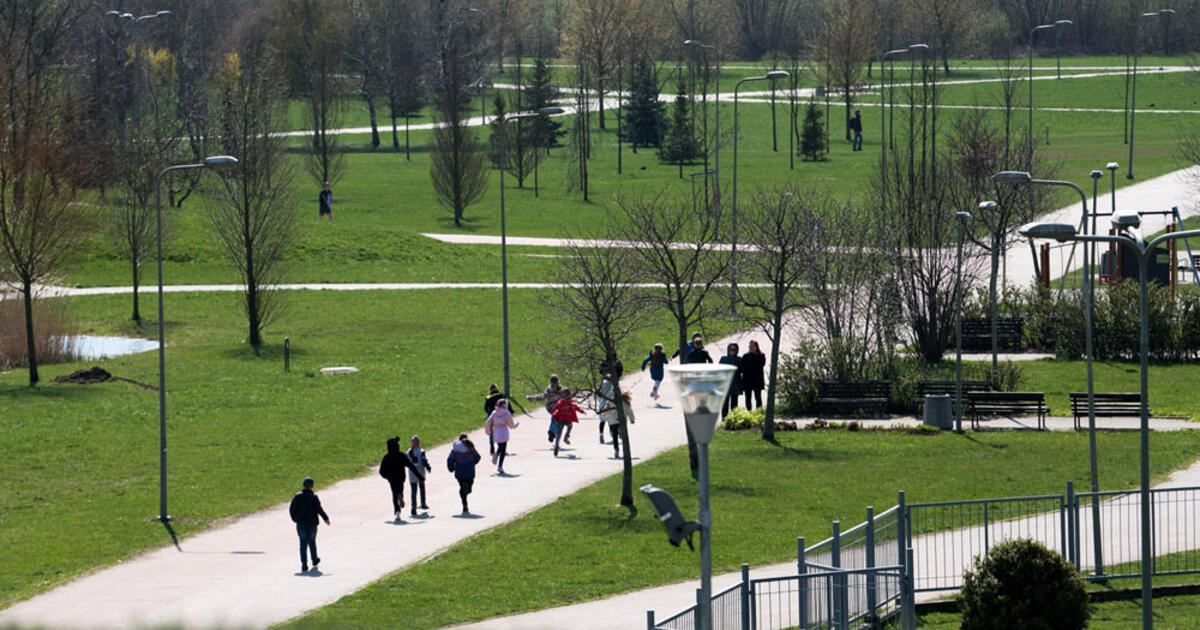 Parkas - kaip pakilimo takas: sodins daugiau medžių
