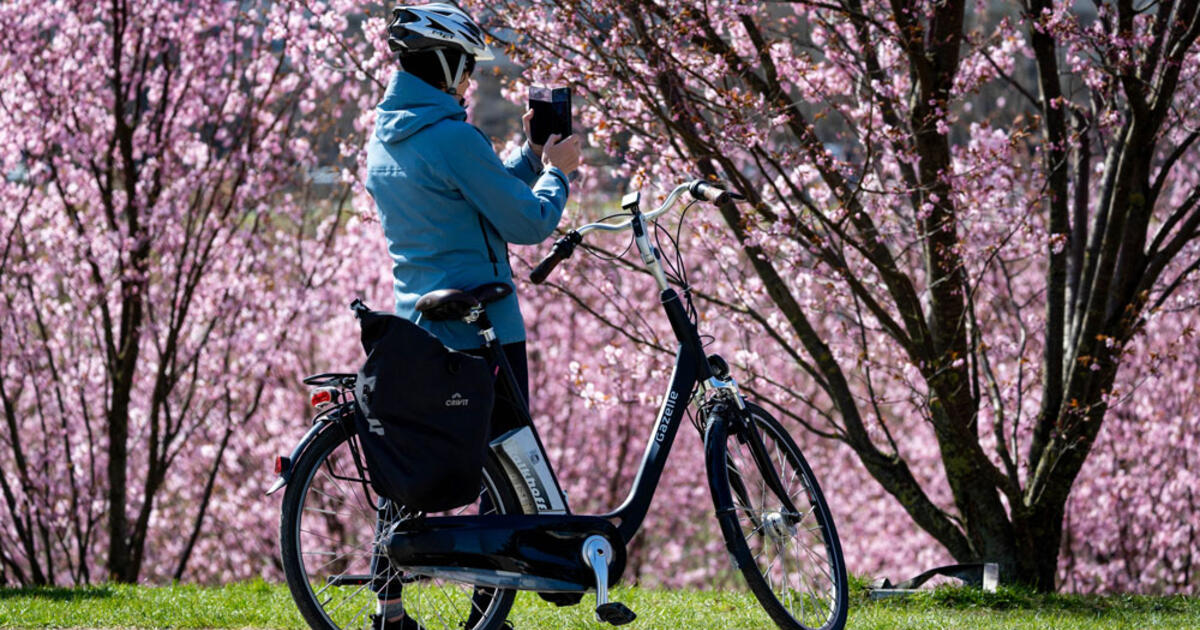 Sinoptikai apie orus: džiugins malonus pavasaris - vietomis 17 laipsnių šiluma