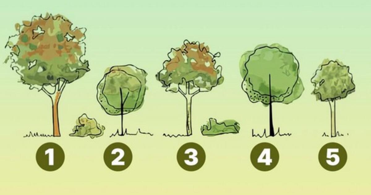 Greitas egoizmo testas: kokį medį pasodintumėte prie namų – narcizai duoda vieną atsakymą