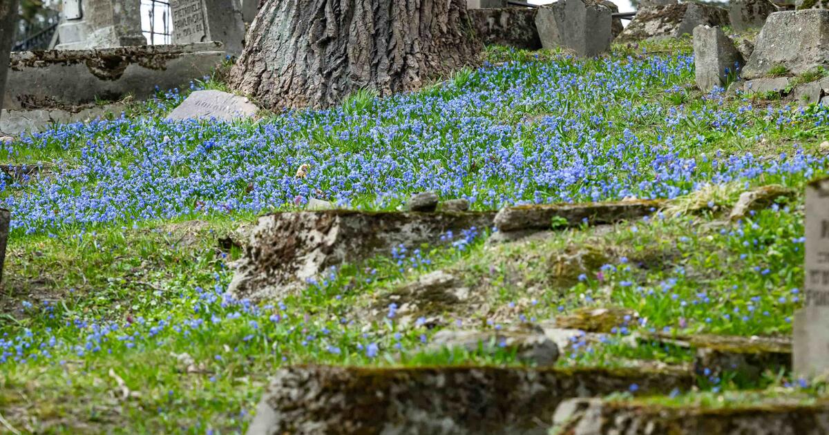 Šiltesni orai žada sugrįžti tik savaitgalį