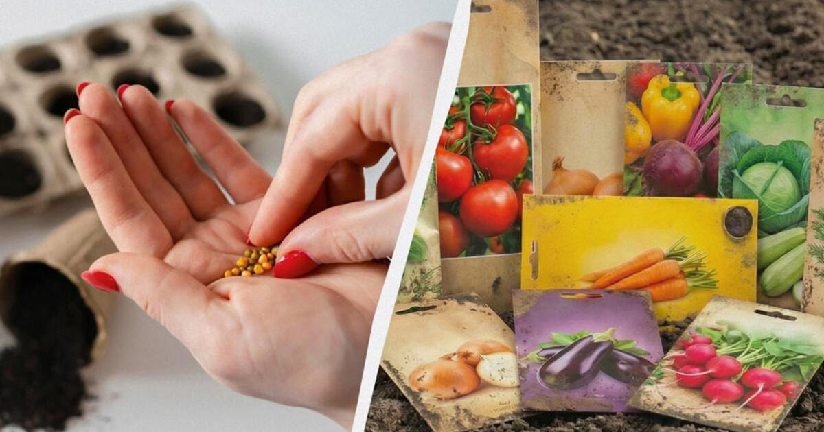 Šios sėklos nesudygs net puikiai prižiūrint: į ką atkreipti dėmesį perkant