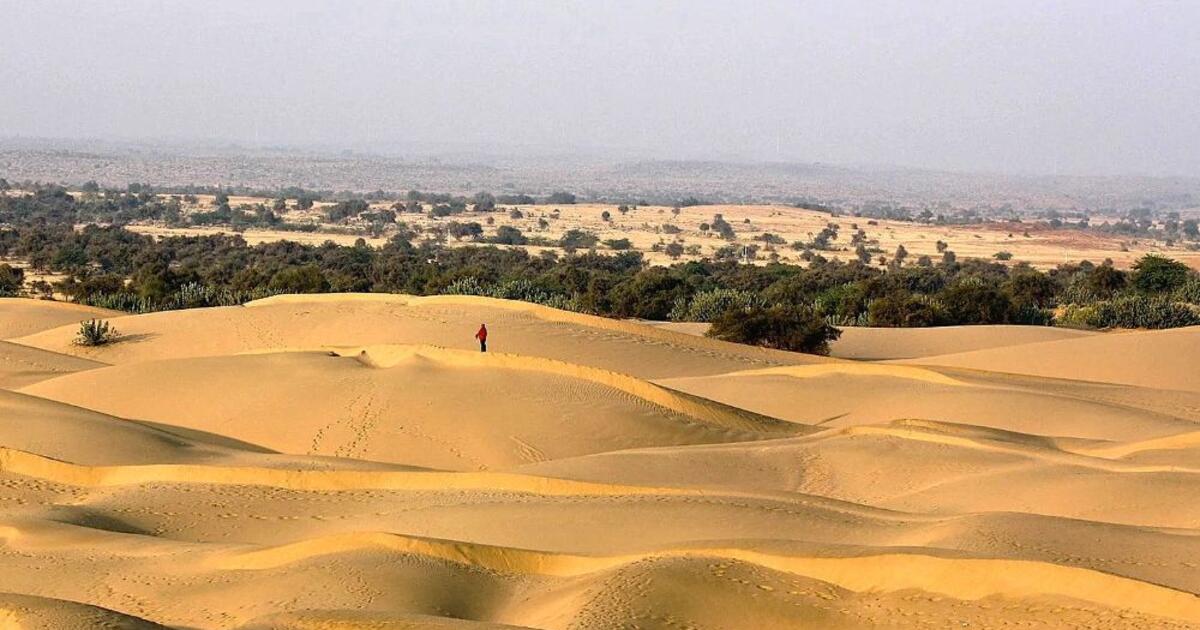 Mokslinis proveržis: kaip dykumos smėlį paversti derlinga žeme