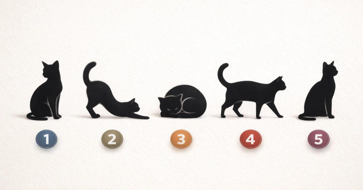 Pasirinkite katę ir sužinokite, ką jums laikas keisti savo elgesyje