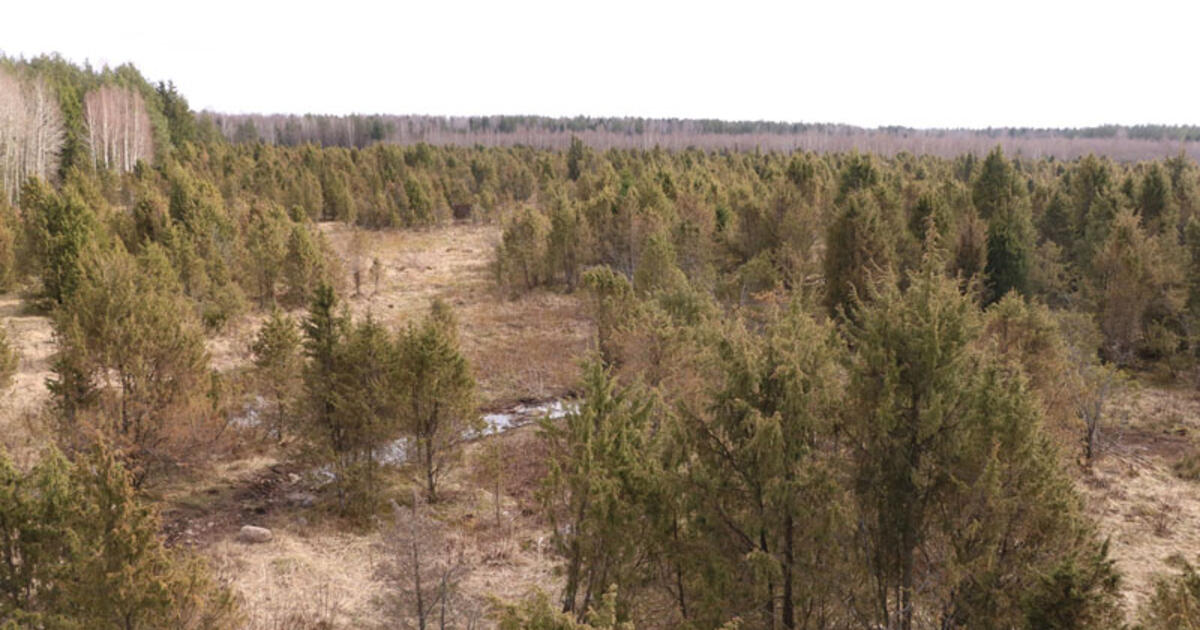 Žemaitijos tundros paslaptys