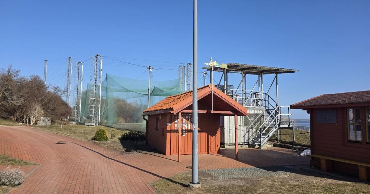 Ventės rage iškelta didžiausia pasaulyje paukščių gaudyklė