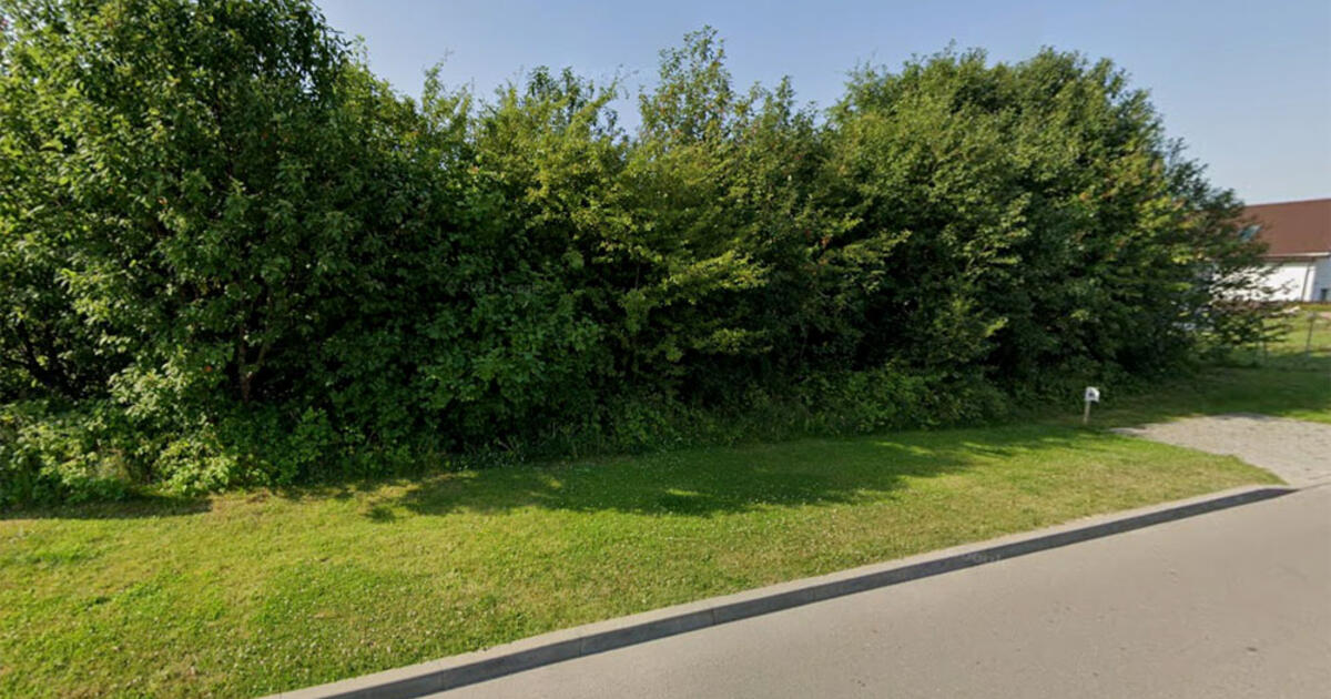 Pasiūlys įsigyti žemės įvairiose miesto vietose