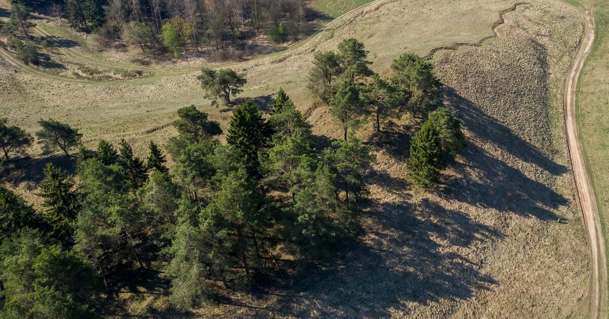 Alko kalnas Kretingos rajone paskelbtas saugomu valstybės