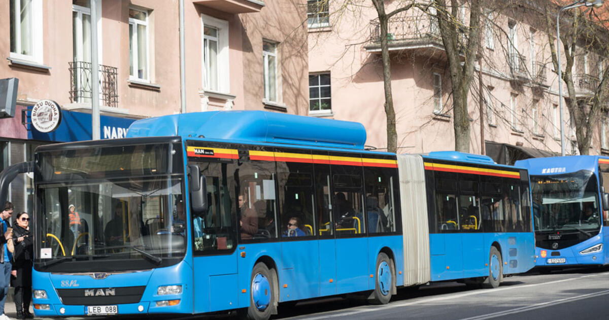 Autobusuose pagauta daugiau zuikių
