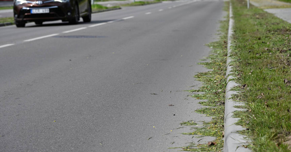 Bulvaras: Už žiemą atkeršijo pavasarį