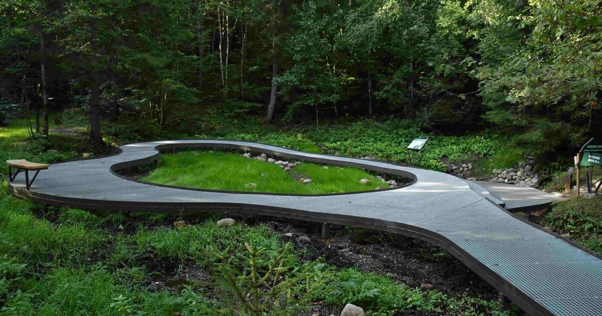 Miškininkai kviečia atrasti: keturi išskirtiniai VMU rekreaciniai objektai pavasario–vasaros sezonui