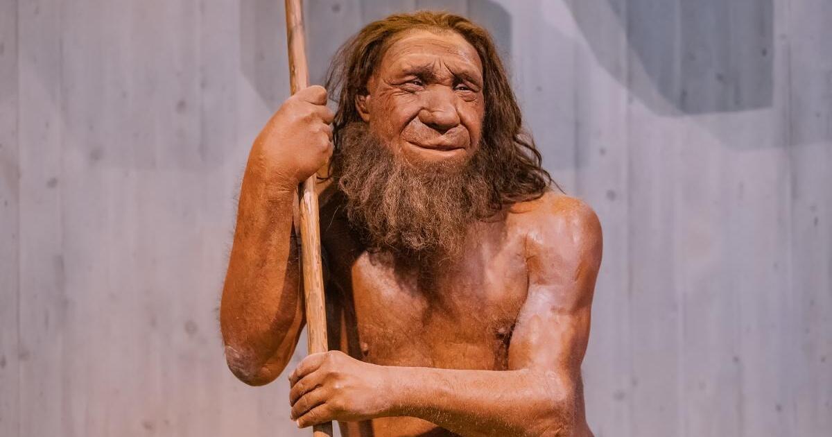 Neandertaliečiai stomatologiją praktikuodavo dar prieš 60 000 metų