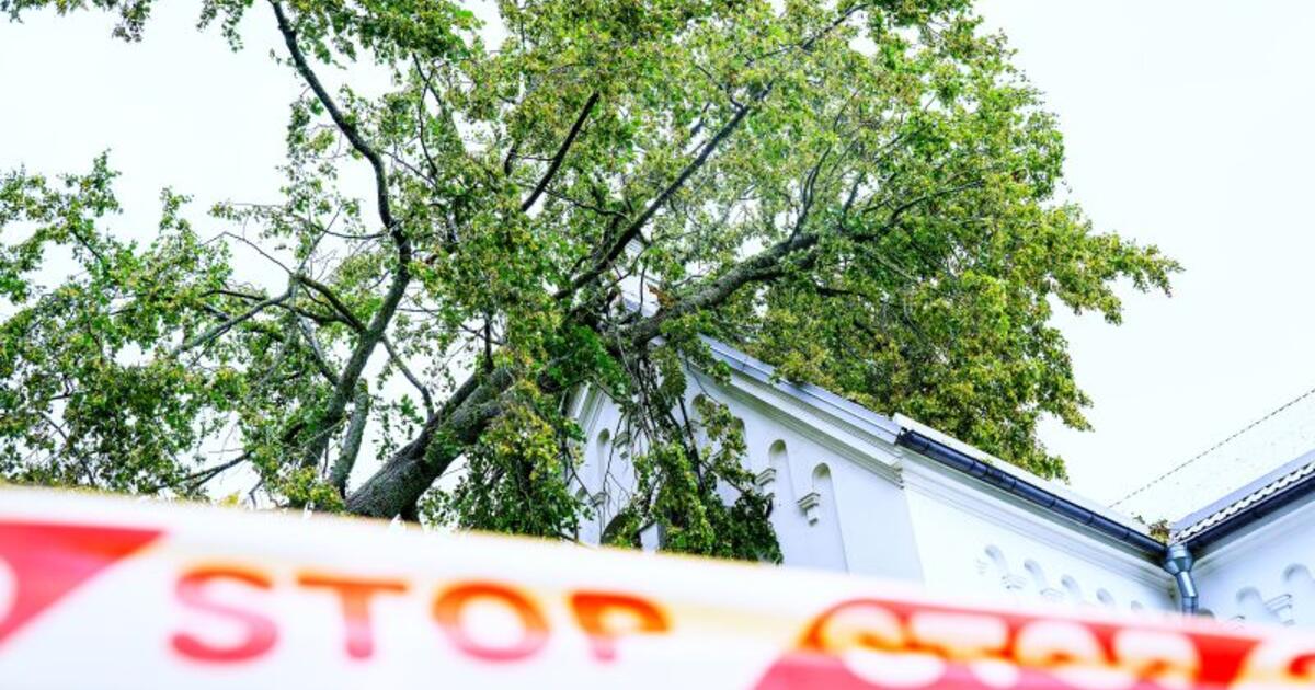 Permainingi orai parodė nagus: ugniagesiai fiksavo dešimtis iškvietimų