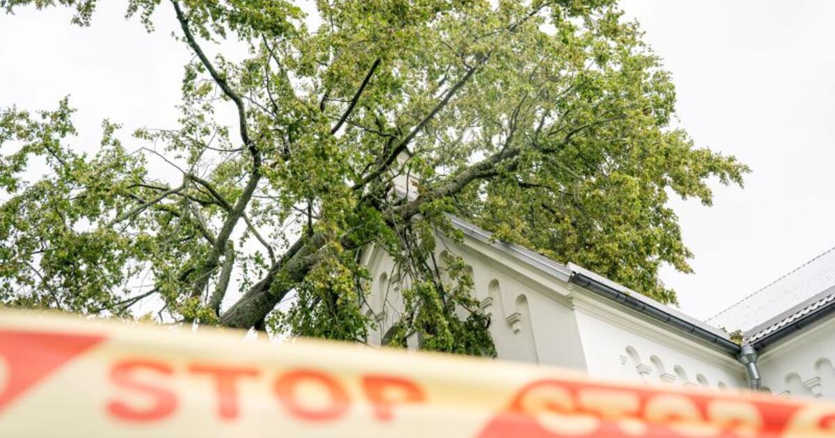 Per parą – 57 iškvietimai: stiprus vėjas niokojo miestus ir rajonus