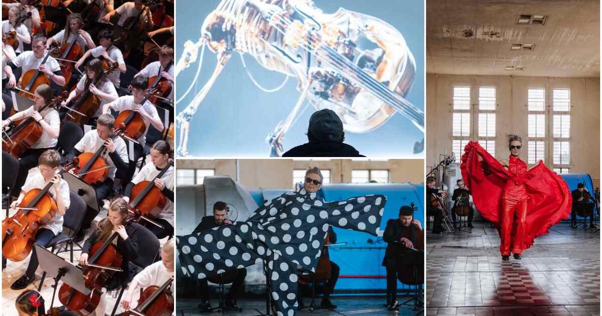 Klaipėda ruošiasi violončelės fiestai: pasaulinio garso komisija ir rekordinis prizinis fondas