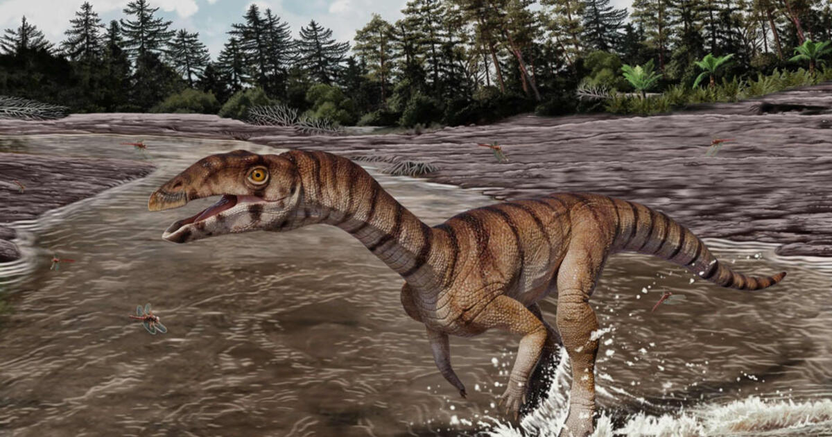 Naujojoje Meksikoje atrastas keistas „raganų krokodilas“, primenantis dinozaurą