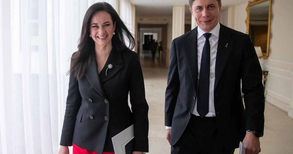 Ruginienė neatsako, ar Sinkevičius su ja aptarė galimą parei