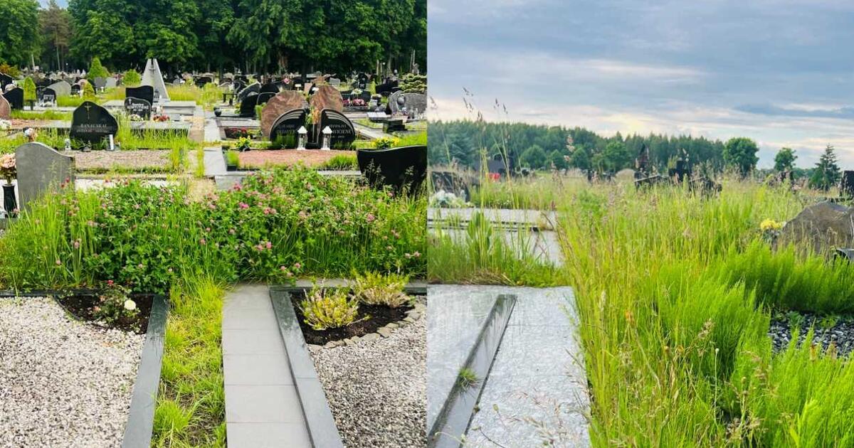 Tėvo diena Lėbartuose: pasitiko šabakštynai ir žolė iki keli
