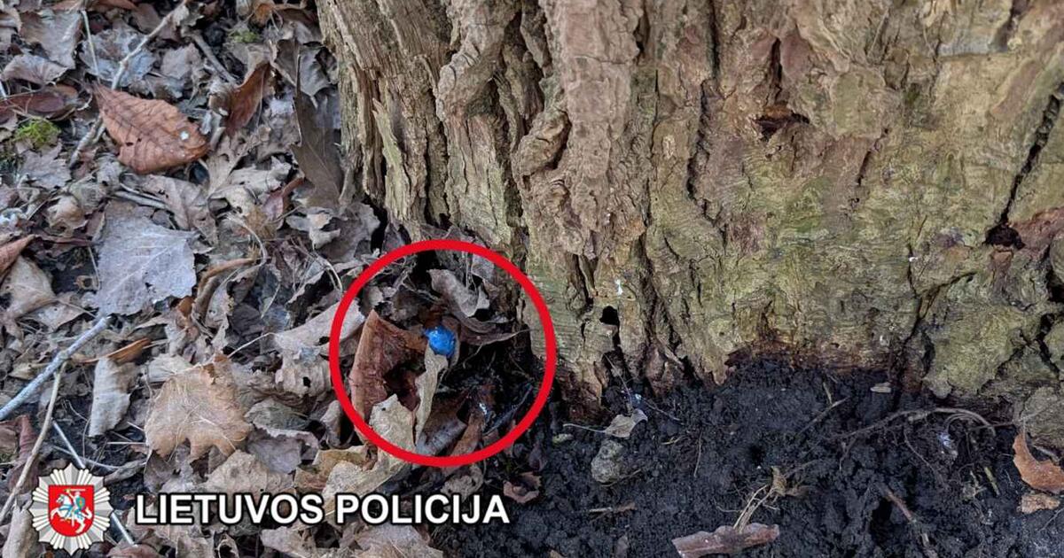 Porelę sujungė ne tik meilė, bet ir kvaišalai: lau