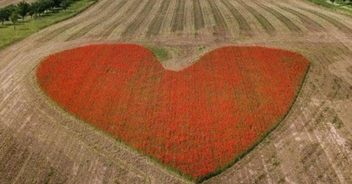 Fotografas atsitiktinai rado romantiškiausią Moravijos peiza