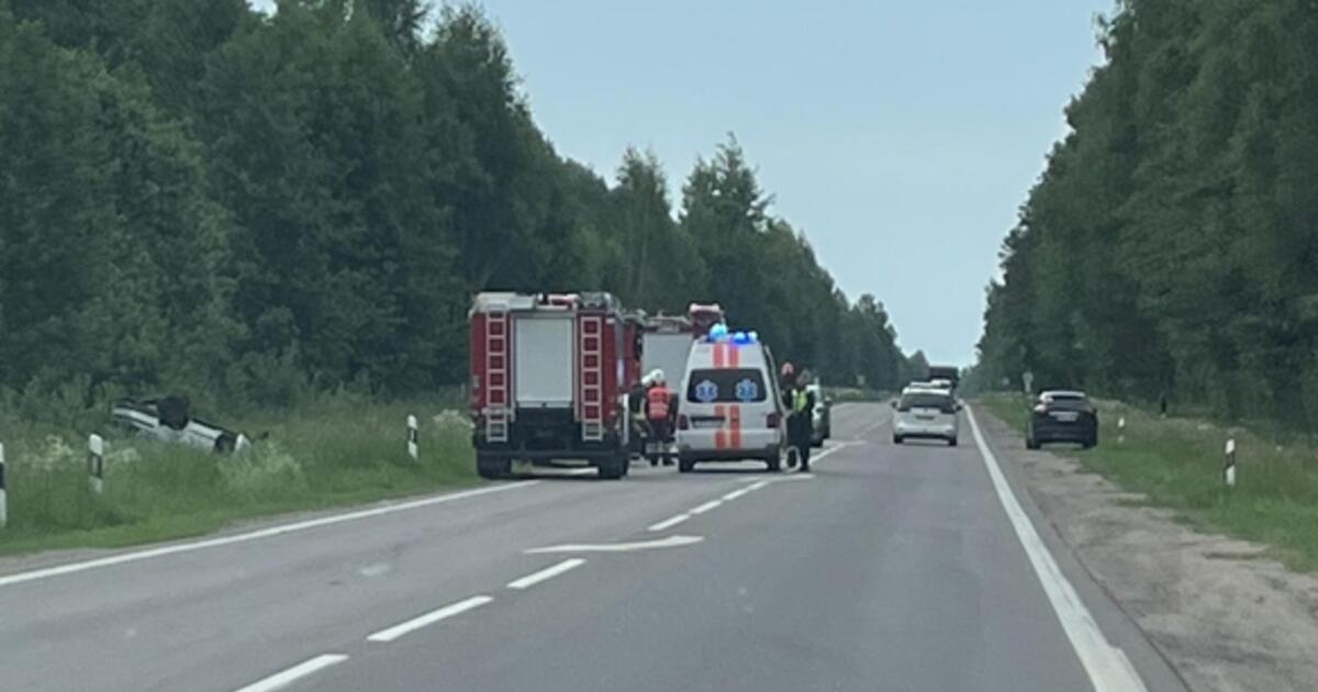 Velnias ir vėl pakišo pagalvę: priliuobęs gaidelis iš griovi
