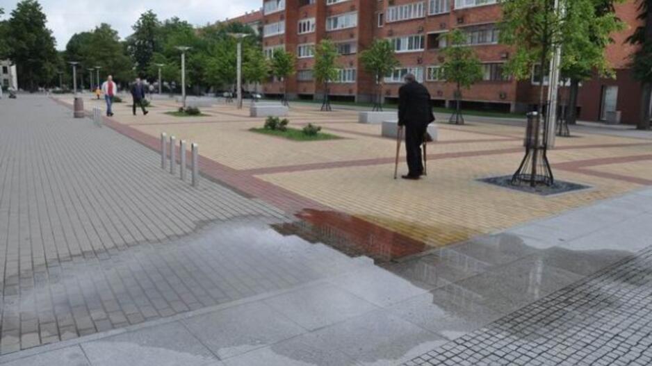 Balos M. Mažvydo alėjoje