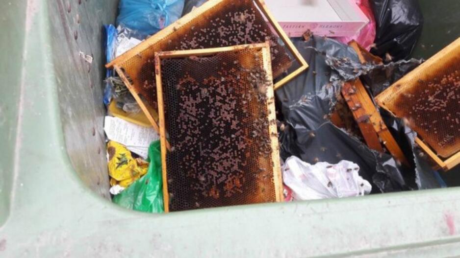 Niekšai bites išmetė į šiukšlių konteinerį