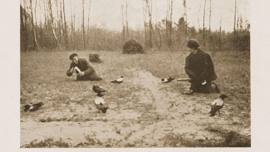 Varnų gaudymo mitai ir faktai