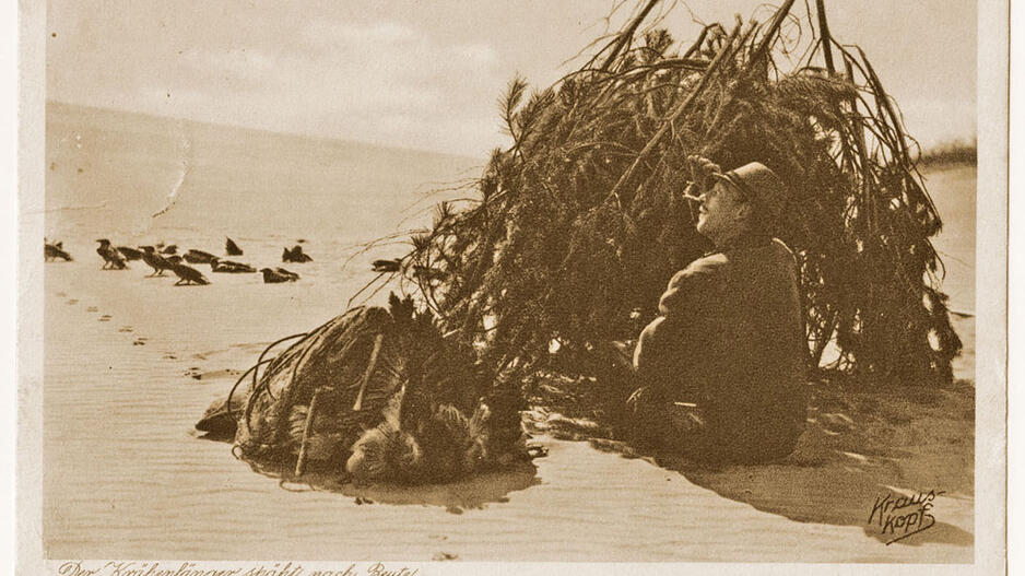 Varnų gaudymo mitai ir faktai