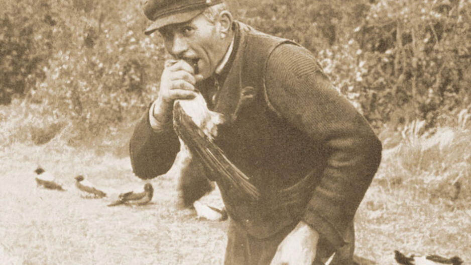 Varnų gaudymo mitai ir faktai