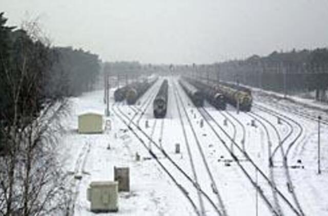 Girulių miško kirsti neskubama 