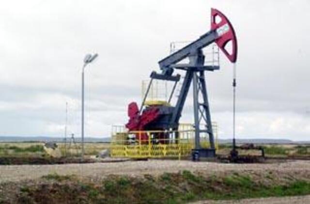 Savivaldybė stabdo naftininkų planus 