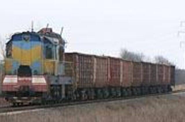 Išgąsdino besiblaivančiuosius 