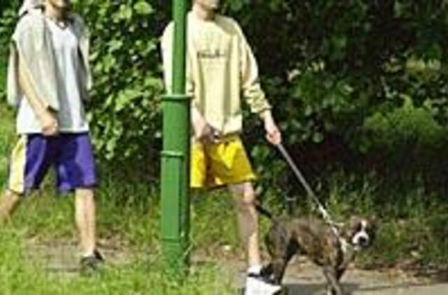 Klaipėdoje įsibėgėja ekologinės policijos darbas 