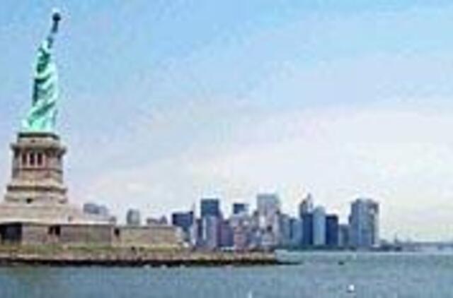 Lietuvius sukčiai vilioja ir žaliąja kortele 