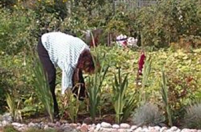 Darbai rugsėjį sode ir darže