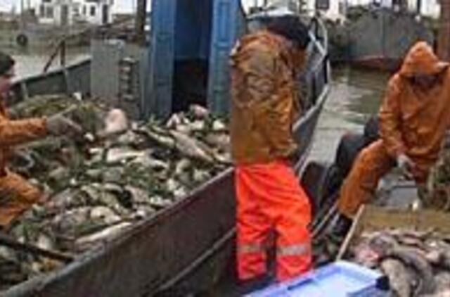 Žvejai savo veiklą lygina su atominės bombos gamyba 