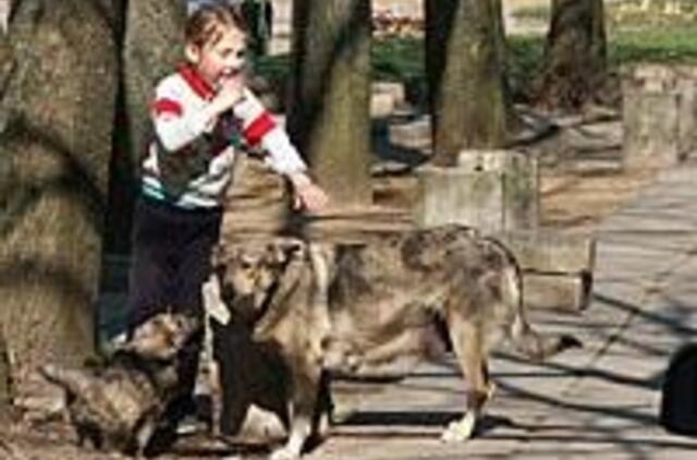 Už atsainumą augintiniams - lėtinės ligos 