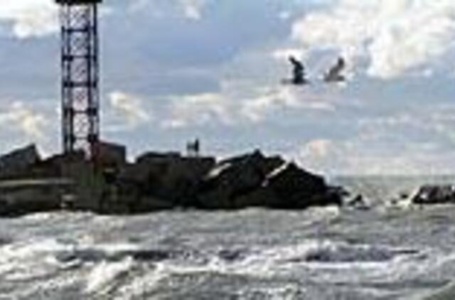 Diagnozė: eutrofikacija, dėl kurios "žydi" vanduo 